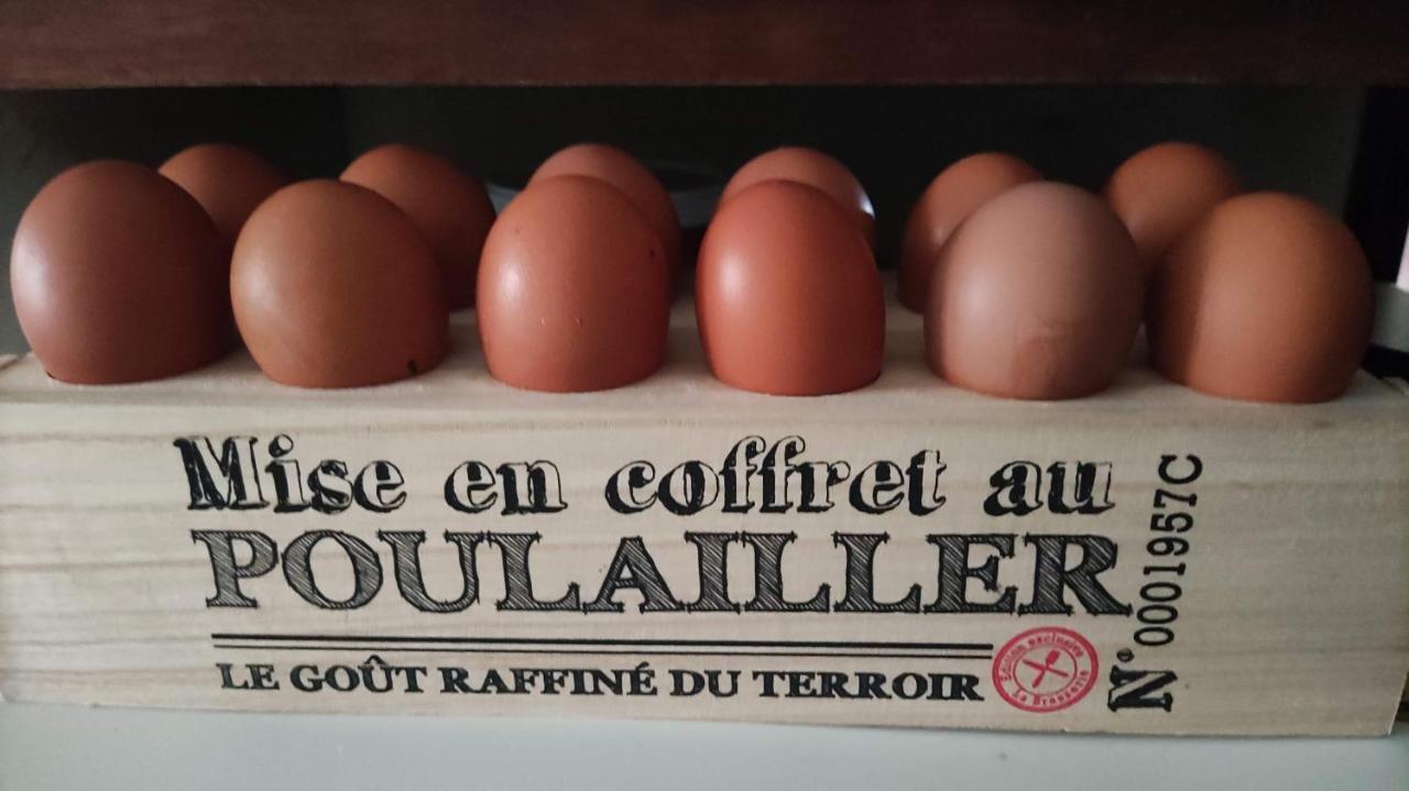 La Fontaine Du Mas Acomodação com café da manhã Thiviers Exterior foto